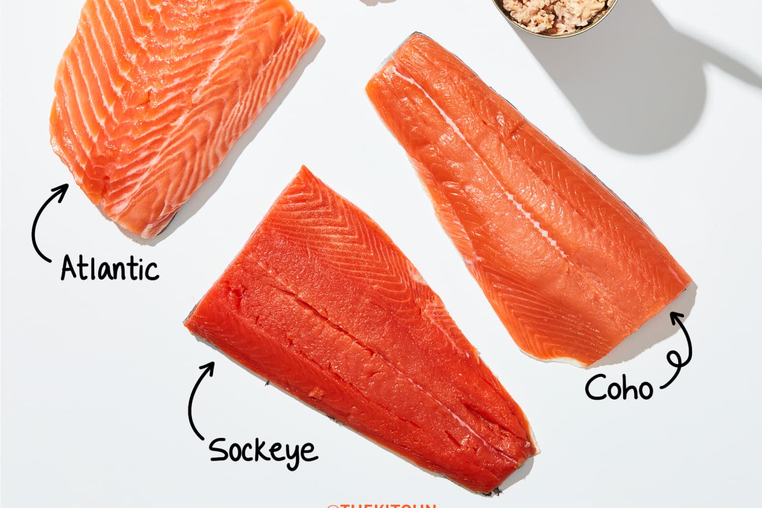 Types of Salmon A Visual Guide to Wild and Farmed Salmon The Kitchn